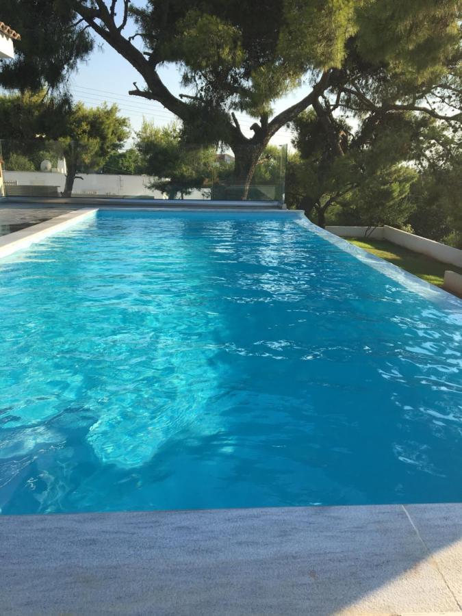 Villa Tranquility Lagonisi Ngoại thất bức ảnh